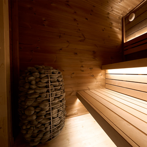 Sierra XS Outdoor Cabin Sauna