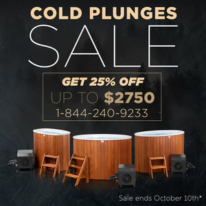 Scandinavian Hybrid Cold Plunge & Wood-Fired Spa (2-4 People)